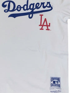 Dodgers LA graphic