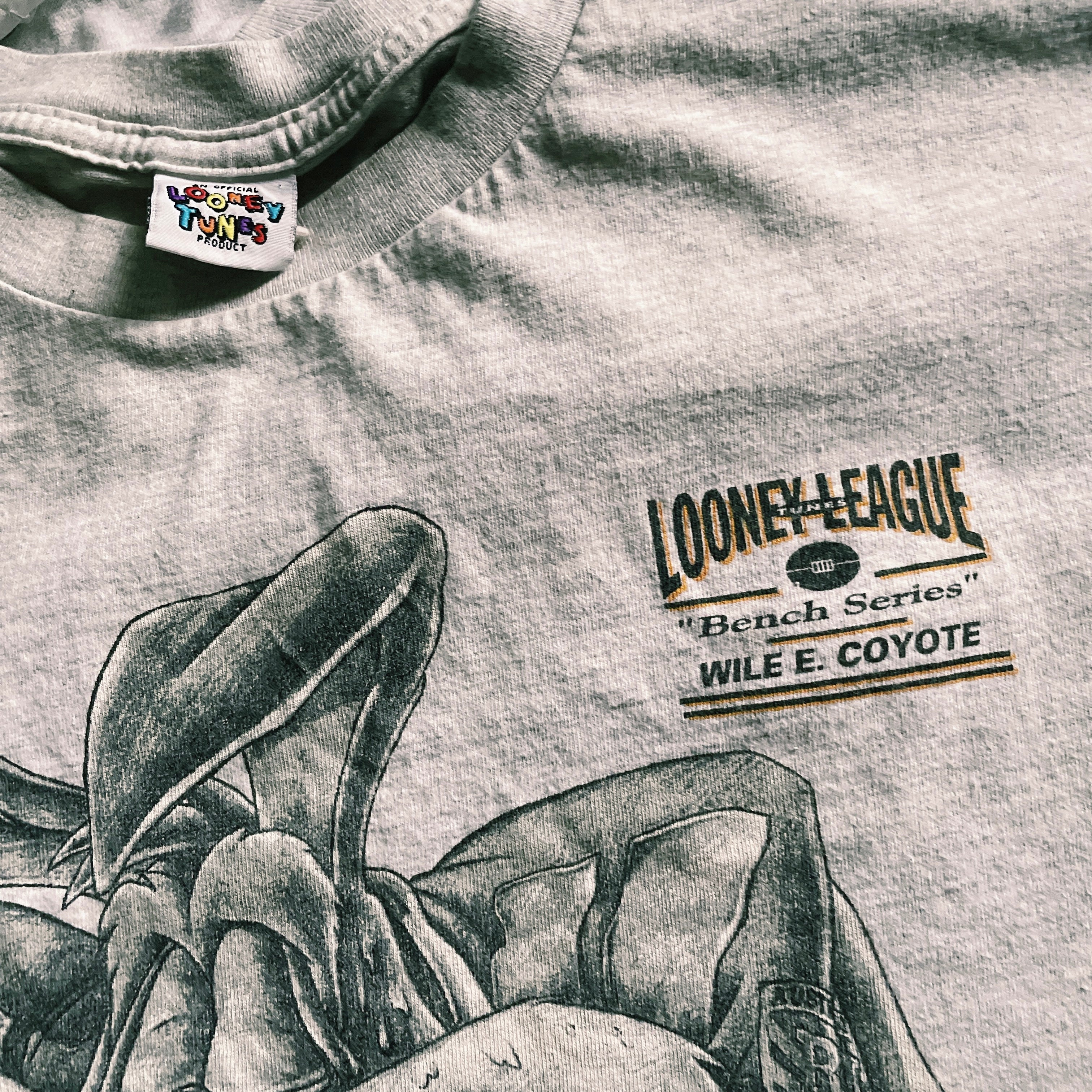 Looney tunes Wile E. Coyote